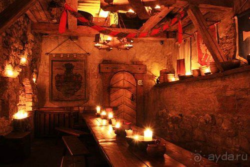 Олени, хаски и Полярный круг