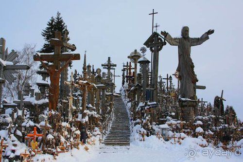 Олени, хаски и Полярный круг