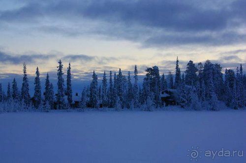 Олени, хаски и Полярный круг