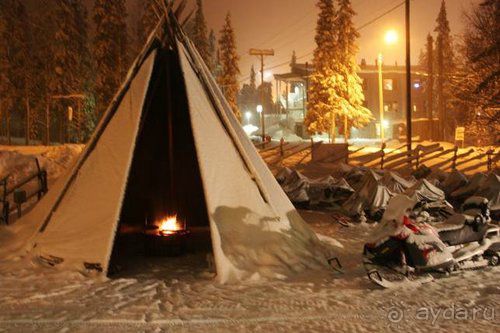 Олени, хаски и Полярный круг