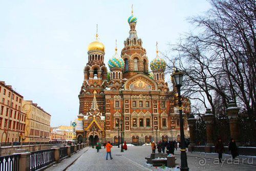 Олени, хаски и Полярный круг