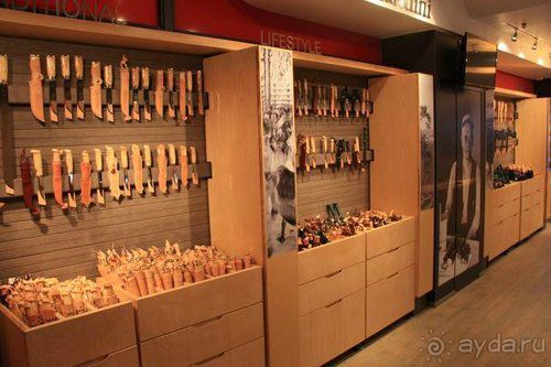 Олени, хаски и Полярный круг