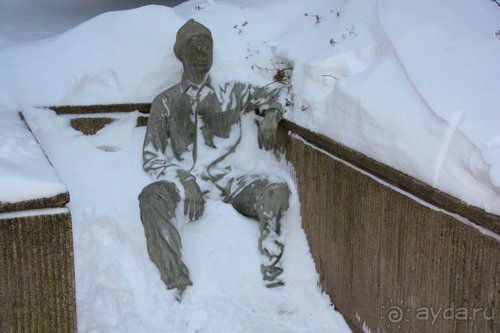 Олени, хаски и Полярный круг