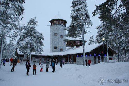 Олени, хаски и Полярный круг