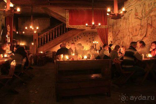 Олени, хаски и Полярный круг