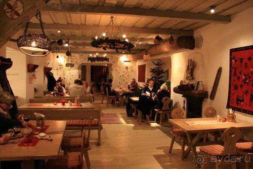 Олени, хаски и Полярный круг