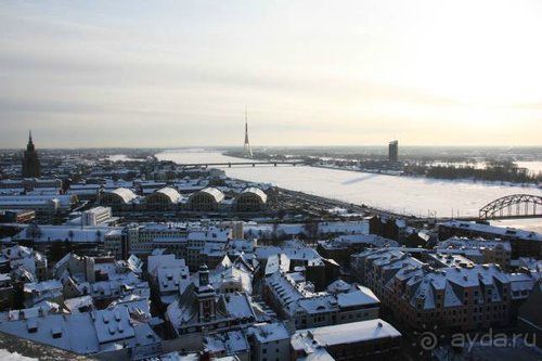 Олени, хаски и Полярный круг