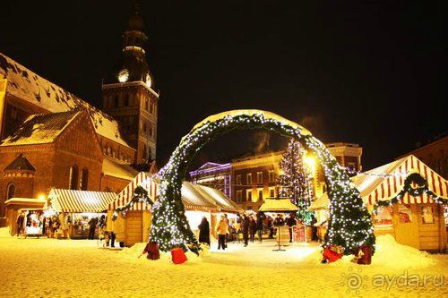 Олени, хаски и Полярный круг