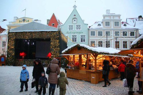 Олени, хаски и Полярный круг