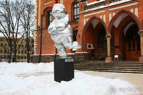 Олени, хаски и Полярный круг