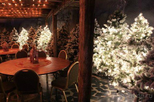 Олени, хаски и Полярный круг