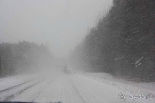 Олени, хаски и Полярный круг