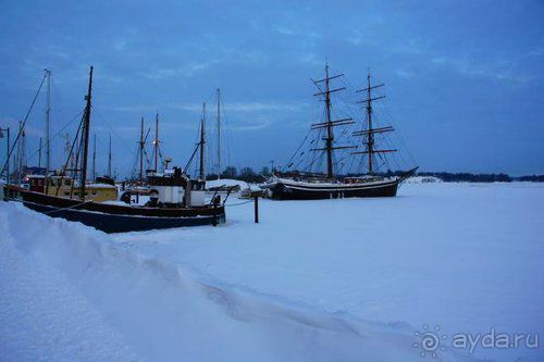 Олени, хаски и Полярный круг