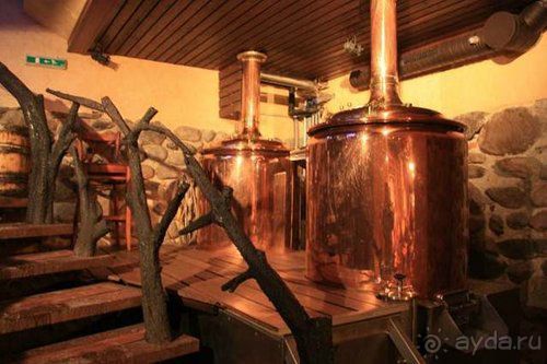 Олени, хаски и Полярный круг