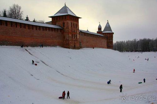 Олени, хаски и Полярный круг