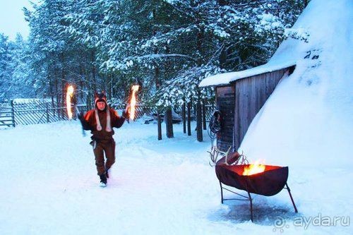 Олени, хаски и Полярный круг