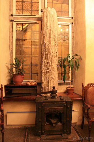 Олени, хаски и Полярный круг