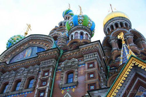 Олени, хаски и Полярный круг