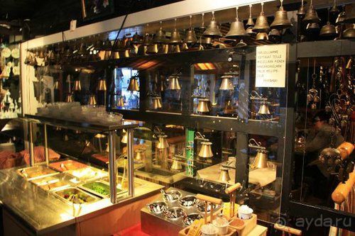 Олени, хаски и Полярный круг