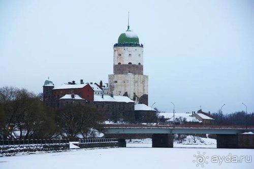 Олени, хаски и Полярный круг