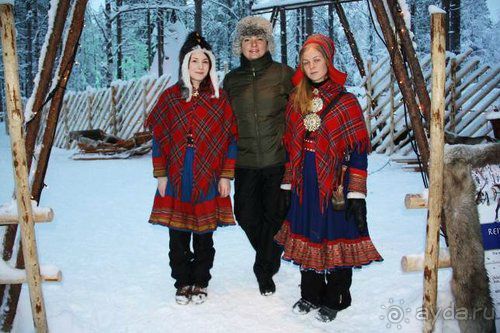 Олени, хаски и Полярный круг