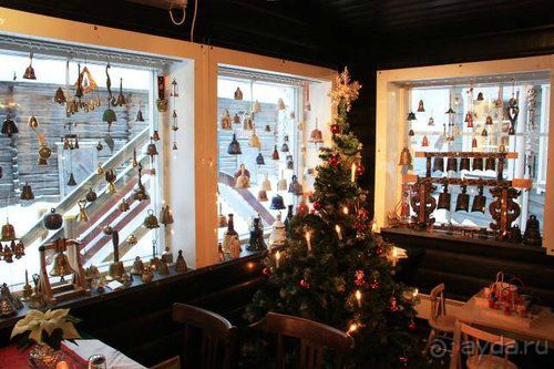 Олени, хаски и Полярный круг