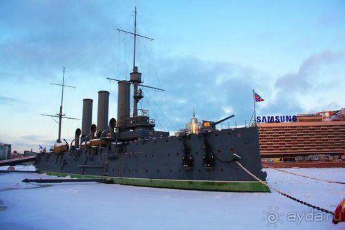 Олени, хаски и Полярный круг