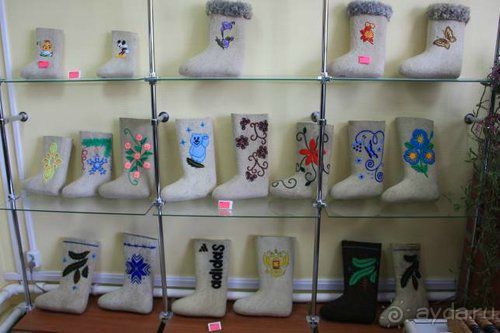 Олени, хаски и Полярный круг