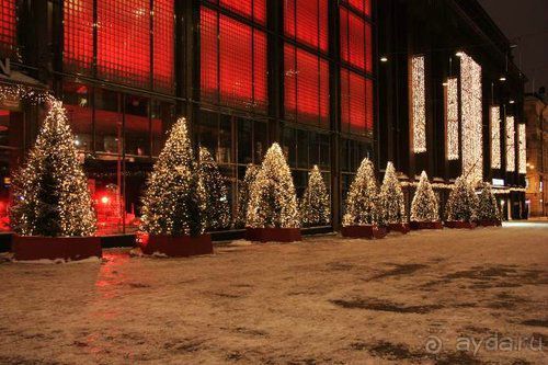 Олени, хаски и Полярный круг