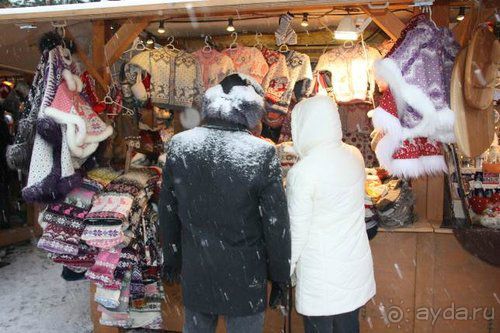 Олени, хаски и Полярный круг