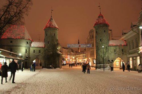 Олени, хаски и Полярный круг