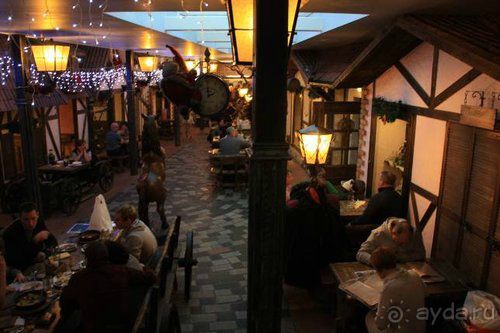 Олени, хаски и Полярный круг