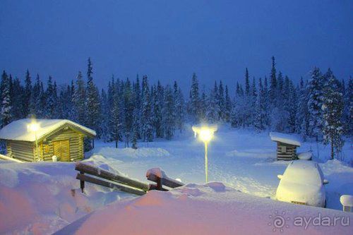 Олени, хаски и Полярный круг