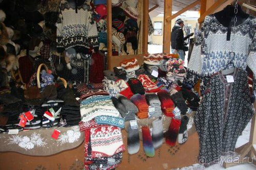 Олени, хаски и Полярный круг