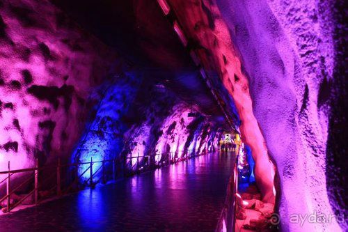 Олени, хаски и Полярный круг