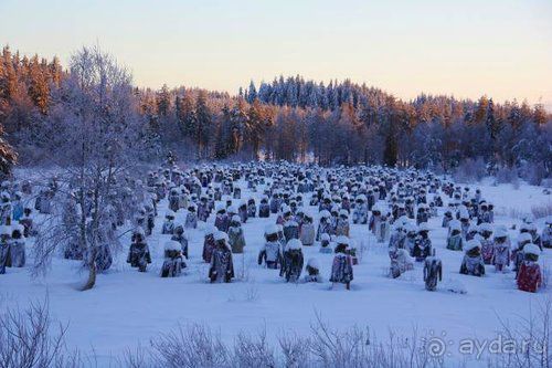 Олени, хаски и Полярный круг