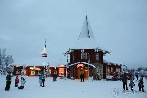 Олени, хаски и Полярный круг