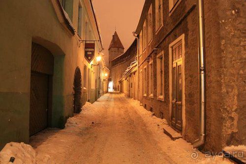 Олени, хаски и Полярный круг