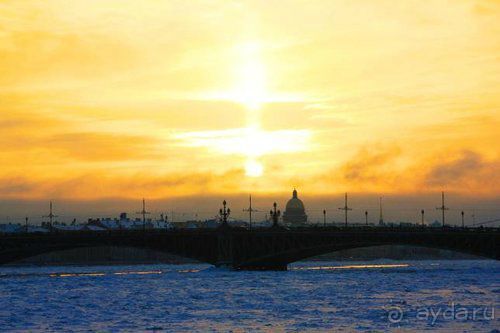 Олени, хаски и Полярный круг