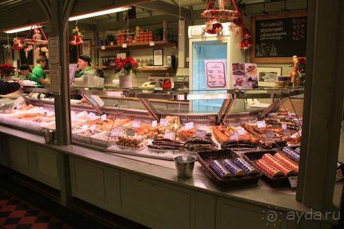 Олени, хаски и Полярный круг