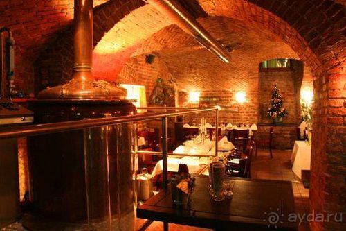 Олени, хаски и Полярный круг