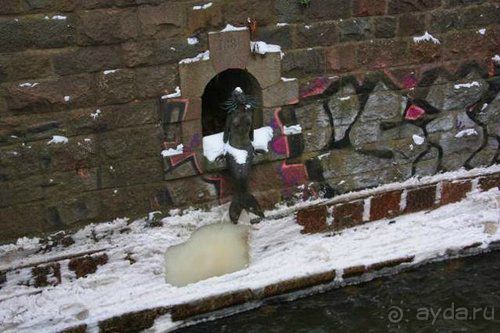 Олени, хаски и Полярный круг