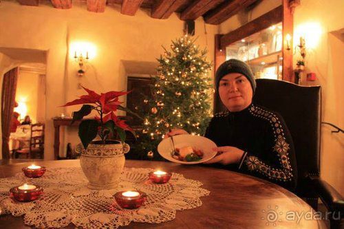 Олени, хаски и Полярный круг