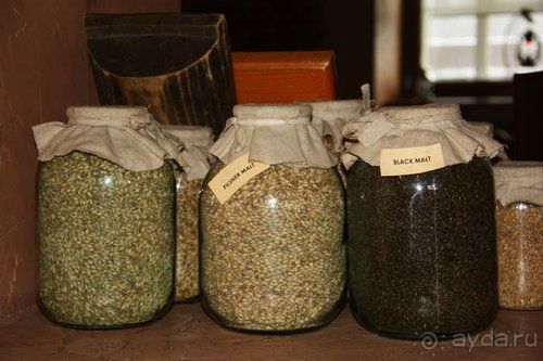 Олени, хаски и Полярный круг