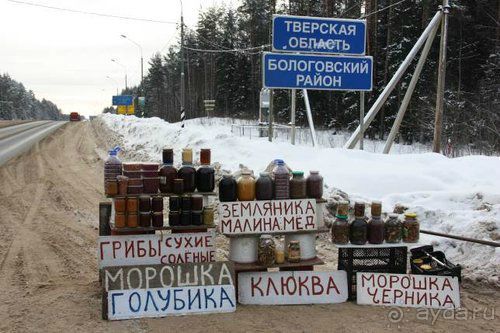 Олени, хаски и Полярный круг