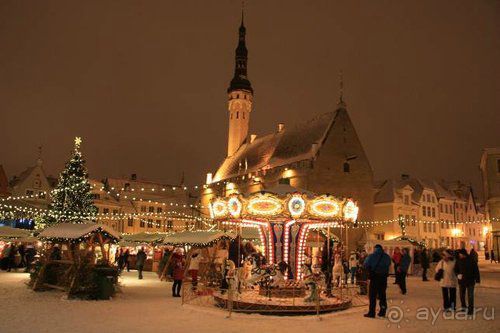 Олени, хаски и Полярный круг