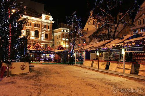 Олени, хаски и Полярный круг