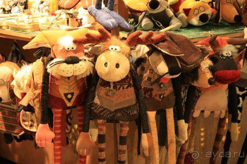 Олени, хаски и Полярный круг