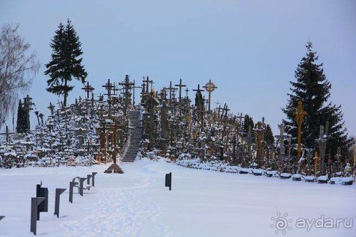 Олени, хаски и Полярный круг