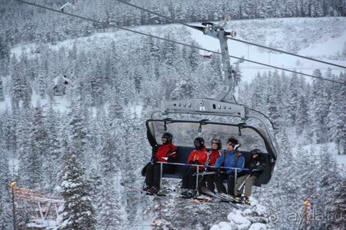 Олени, хаски и Полярный круг